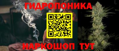 ГАЛЛЮЦИНОГЕННЫЕ ГРИБЫ Заводоуковск