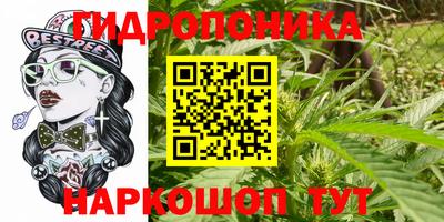 ГАЛЛЮЦИНОГЕННЫЕ ГРИБЫ Заводоуковск