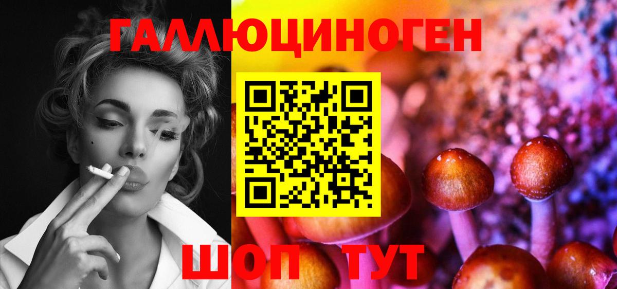 Псилоцибиновые грибы мицелий Минусинск