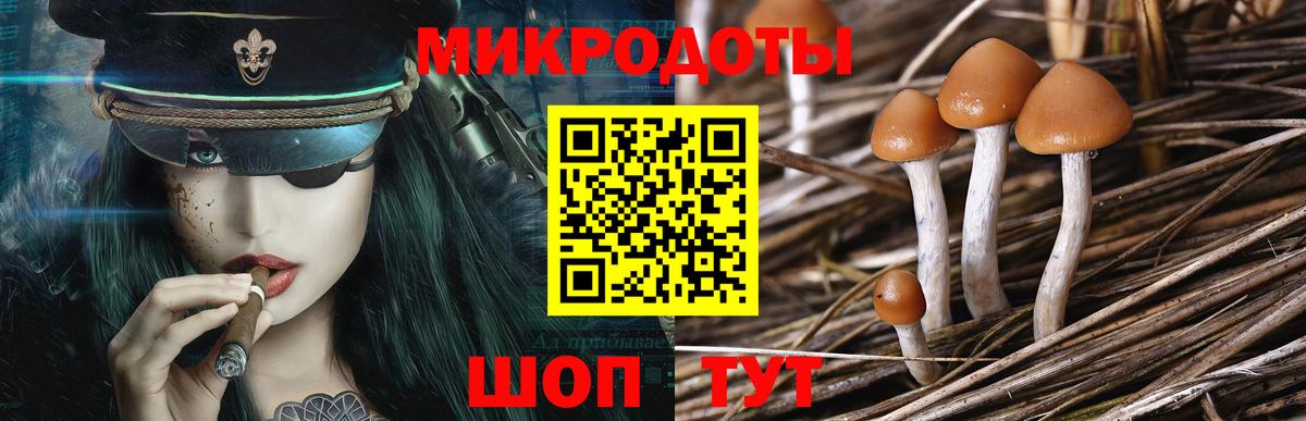 Галлюциногенные грибы мухоморы  Вход с VPN  Минусинск 